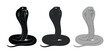 © Jemie - King cobra snake vector silhouettes, black and grey serpent icons set, aggressive hooded cobra reptile graphics for logo design and tattoo art