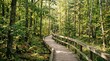 © Andara - Wooden boardwalk path winding through a lush green forest with hikers