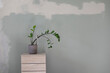 © OlgaStockMikheeva - A green potted plant on the background of renovation, interior improvement, repair work.