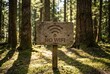 © Alexandra - Wooden sign with no wifi symbol in forest with sunlight through trees. Concept of digital detox and disconnection from internet. Travel into nature for peaceful retreat and relaxation.
