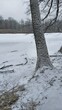 © WalDec - Zima w parku