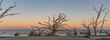 © Her Endless Journey  - panoramic views of warm sunset glowing behind twisted tree remains and scattered driftwood along the shoreline of Driftwood Beach on Jekyll Island