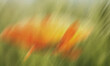© abuzay - Abstract orange flower motion blur background with green nature soft dynamic vibrant texture