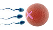 © Vetle - Blue Sperm Cells Near Textured Red Sphere with Pink X Mark