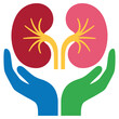 © NAZMA - Kidney donation and transplant concept with two hands holding human organs.