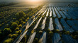 © Al-Amin - Solar Energy Array at Dawn: An expansive solar panel array captures the golden hues of dawn, symbolizing sustainable energy and environmental responsibility.