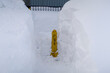 © gttkscg - 雪の中の消火栓