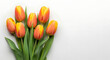 © Vladislav - Fresh orange tulips arranged on white background