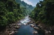 © pham - 緑の森を流れる川の頂上からの眺め