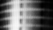 © Uuganbayar - Photocopies of a black and white sheet of paper with a background or texture with grain and noise illustration