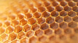 © sha - honeycomb close up