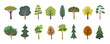 © Liubov - Collection of stylized trees with title text in flat vector style. Includes various types of deciduous and evergreen trees in different shapes and colors. Perfect for nature design, infographics, maps