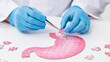 © olga_demina - A medical professional assembling a pink stomach puzzle with a small tool on a white surface, representing stomach pain and healthcare.