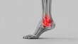 © Dewi - Anatomical Illustration of a Human Ankle with Red Inflammation Highlighting Pain.