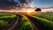 © svastix - A vast landscape of golden fields stretching under a bright sunrise, with softly illuminated clouds that symbolize new beginnings, hope, and the beauty of nature's cycles.