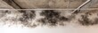© farhan - Close-up of black mold growth on a white wall beneath a concrete ceiling