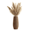 © Jawad - A stylish vase filled with fluffy pampas grass on transparent background