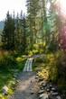 © Province_photo - A wooden path leading through a mountain meadow at sunset. Evening in the mountain forest.  Ergaki Nature Park