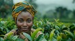 © pvl0707 - Portrait of a woman tea plucker smiling in Kericho's tea plantation.