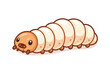© MDMAZAHARULISLAM - Cute cartoon larva illustration of a pest maggot or caterpillar with a segmented white body and tan head, isolated on a white background for nature, education, or pest control vector design.