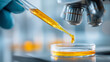 © KotBaton - Close up of pipette with yellow liquid dropping into petri dish, laboratory experiment and scientific research concept.