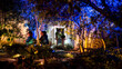 © Travel 'n' Lifestyle - View of people walking through the illuminated Lan Su Chinese Garden at night with vibrant blue and yellow lights on trees and foliage in Portland, Oregon, United States.
