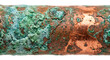 © Nopal - Corroded Copper Pipe Macro with Green Oxidation and Verdigris