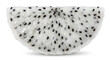 © Nopal - Slice of fresh white dragon fruit isolated on white background