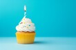 © nsit0108 - Small cupcake with white frosting, colorful sprinkles, and a lone lit candle