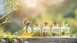 © Yani - A collection of small glass apothecary bottles filled with herbs, against a blurred green backdrop