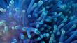 © Harry - A mesmerizing close-up captures the intricate details of vibrant blue and turquoise coral polyps or anemone tentacles undulating gracefully underwater.