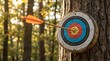 © haemye - Orange arrow hits bullseye on colorful archery target. Target mounted on tree trunk in forest. Outdoor sport, focus, precision, accuracy achieved.