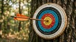 © haemye - Orange arrow hits bullseye on colorful archery target. Target mounted on tree trunk in forest. Outdoor sport, focus, precision, accuracy achieved.