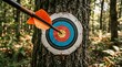 © haemye - Orange arrow hits bullseye on colorful archery target. Target mounted on tree trunk in forest. Outdoor sport, focus, precision, accuracy achieved.