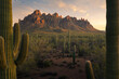 © AmazingAerialAgency - Aerial view of Ironwood Forest National Monument with saguaro cacti and rugged mountain peaks under a golden sunset sky Tucson, Arizona, United States.