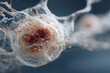 © Blake - Minimalist 3D Render of a Translucent Cell Structure with Glowing Core for Medical Scientific Illustration