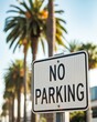 © Ultra Frame - No parking metal sign with black text outdoors under sunny palm trees in a tropical city street setting