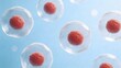© 未央 程 - Cellular structure with red nuclei