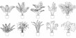 © Amrito - Potted plant collection twelve line drawing variants on white background