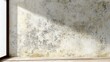 © malayeka - Textured, distressed interior wall surface displays mottled discoloration under bright, directional light.