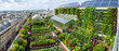 © SIMANG - Urban rooftop farm with vegetable cultivation and solar panels installed on the roof
