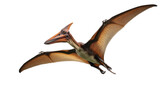 Brown Pterodactyl Flying with Extended Wings and Sharp Beak