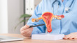 © Антон Скрипачев - Medical professional in blue scrubs holds a detailed human reproductive anatomy model. Red and orange organ segments show ovaries and uterus. Stethoscope rests on their neck