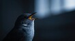 © Yana - Bird Singing Close Up Dark Mood