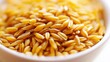 © SU - kamut. Close-up of a bowl containing cooked grains, highlighting their elongated shape. menu design, packaging mockups, designed for culinary blogs and recipe cards for restaurants.