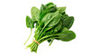 © Olga - Fresh spinach leaves arranged in a bunch ready for cooking or salad preparation in a kitchen setting isolated on transparent background
