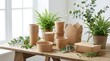 © Тимур Кунець - Eco friendly kraft paper cups and boxes surrounded by greenery, sustainable packaging product display, zero waste takeaway containers, clean commercial composition, soft natural light, no logos