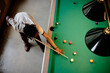 © TrueFrame Collective - High angle shot of young Black man playing billiards, aiming cue stick over pool table during leisure activity. Suitable for lifestyle marketing, recreation venues, social campaigns