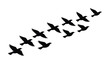 © Aralan - Siluetas de aves volando en formación, bandada de pájaros migratorios en vuelo, diseño vectorial minimalista de aves en movimiento, libertad y naturaleza