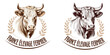© CURIOS - Logo pour élevage bovin et produits laitiers, illustré à la main dans un style traditionnel et authentique du terroir